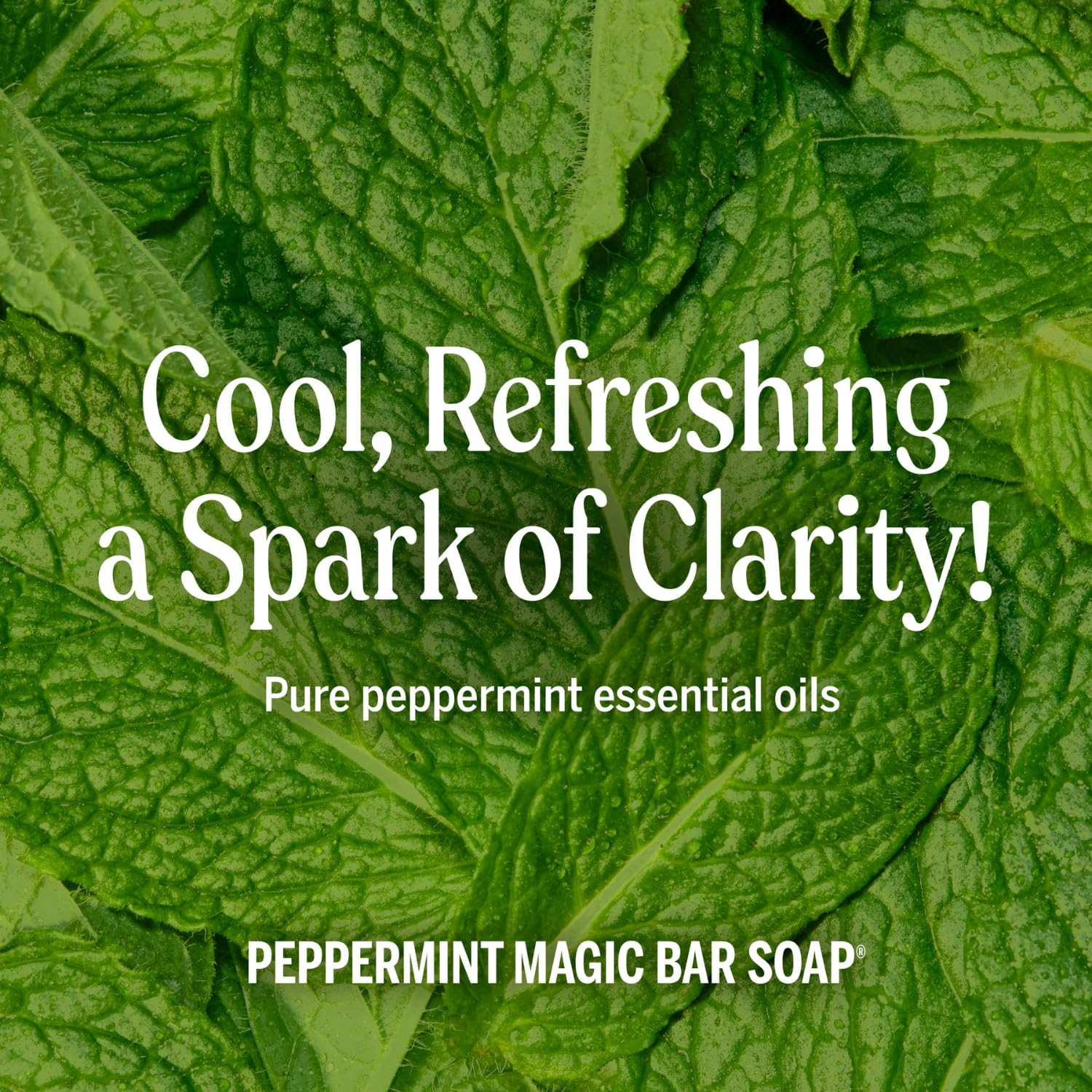 Pure-Castile Magic Liquid Soap (Peppermint, 8 Ounce)- Made with Organic Oils, 18