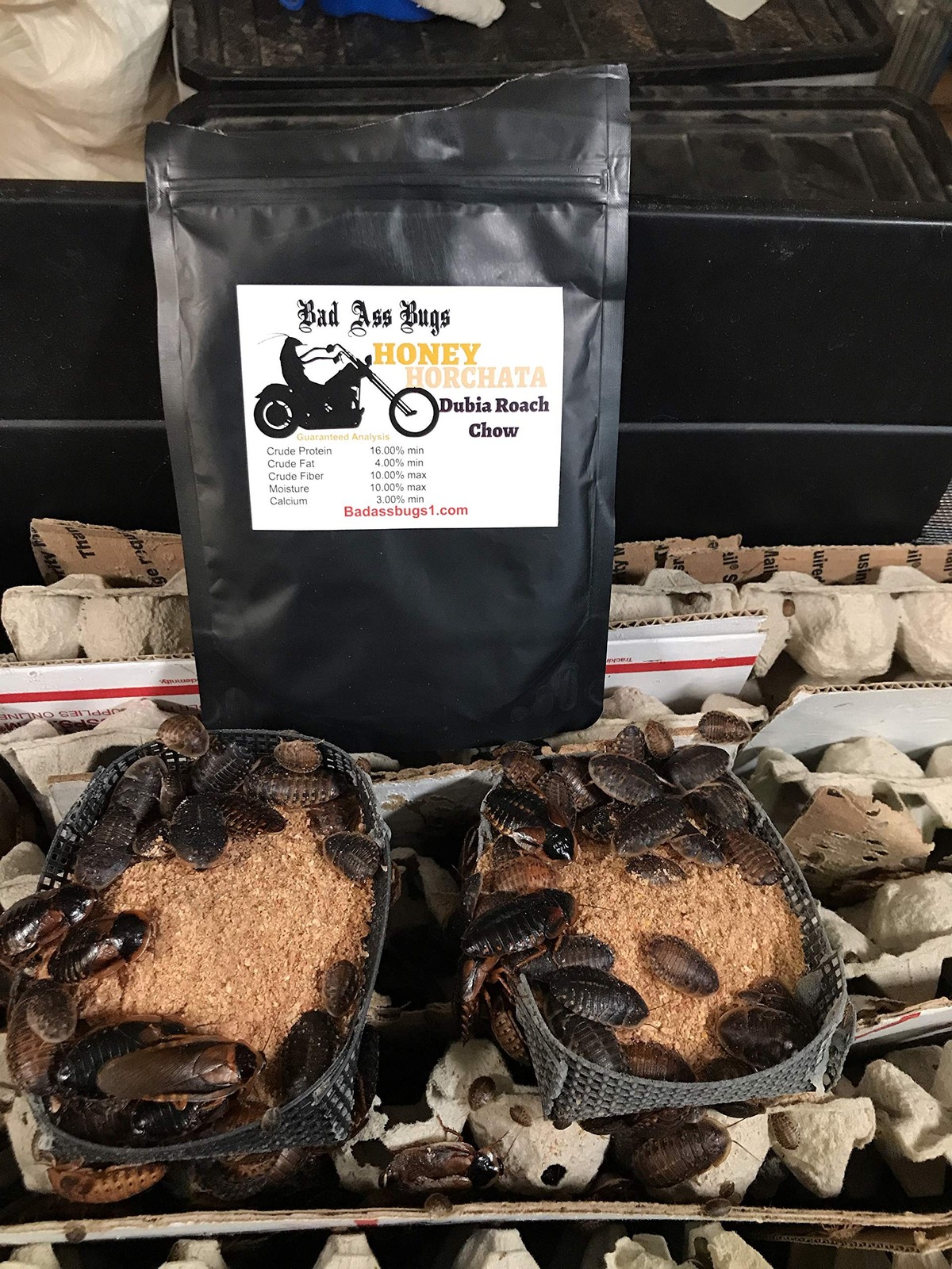 BadAssBugs™ 2LB Dubia Roach Chow Honey Horchata 2 Pound (Pack of 1)