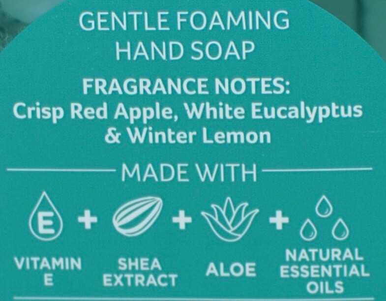 3 BATH & BODY WORKS ON NICE LIST FRESH MINT APPLE GENTLE FOAMING HAND SOAP WASH