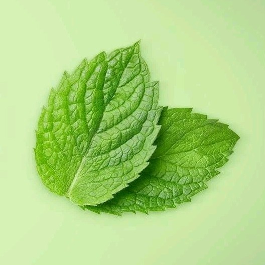 NEW! OLAY (6-BARS) 4 Oz. ●COOLING WHITE STRAWBERRY/MINT● Scented Fresh Outlast.