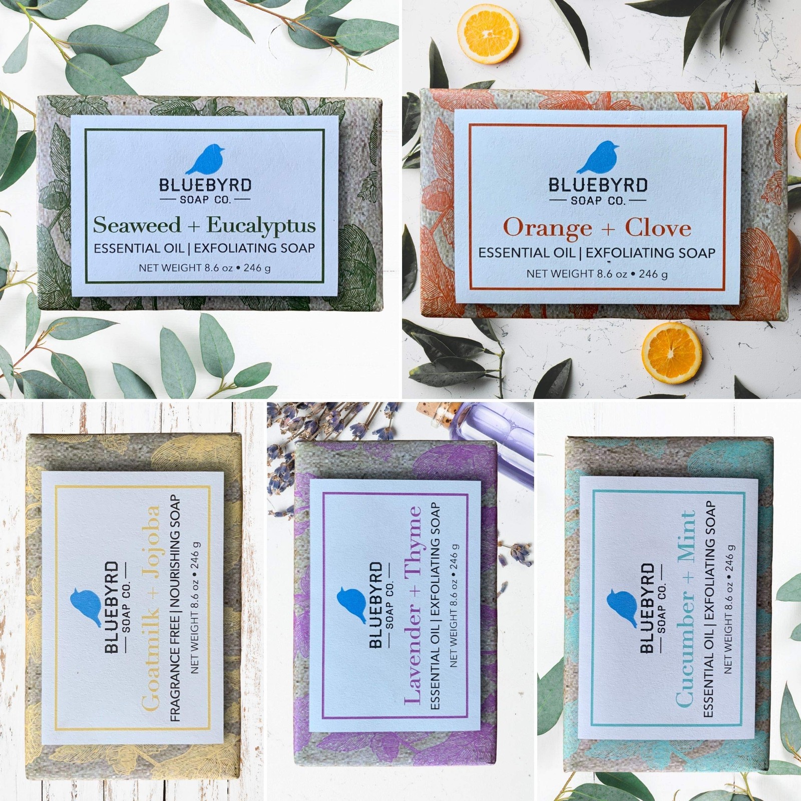 BLUEBYRD Soap Co. 5-Pack Variety Set Exfoliating Essential Oil Soap Bars | 10…