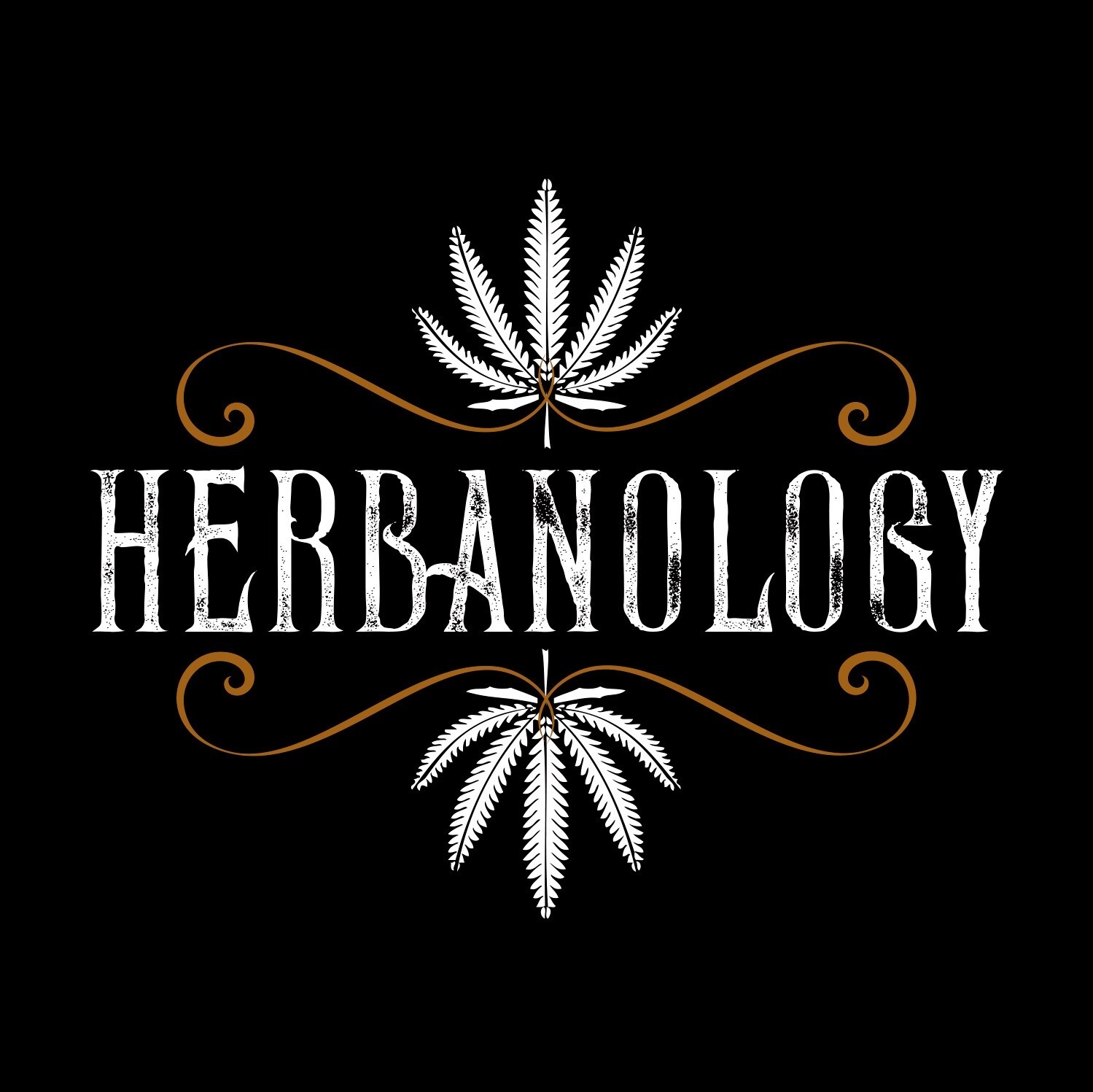 Herbanology 1 Gallon Super Lemon Haze Organic Liquid Castile All Purpose Soap