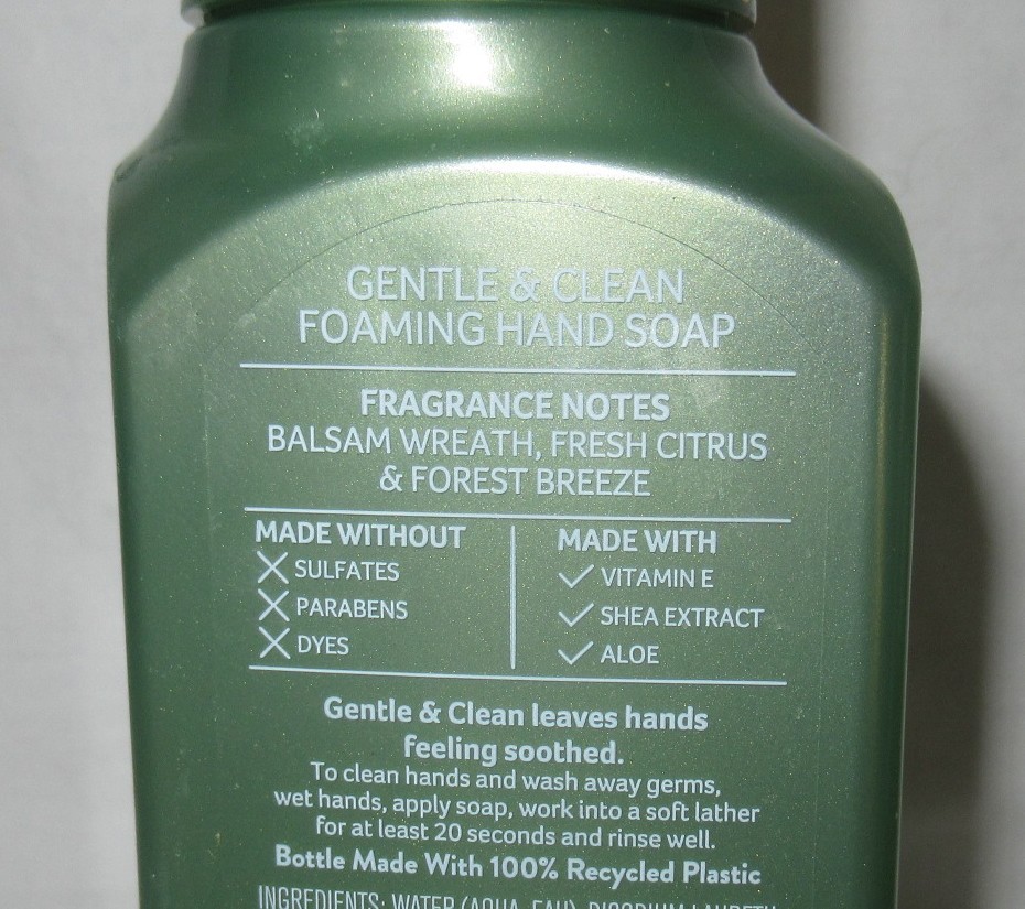 Bath & Body Works Gentle & Clean Foaming Hand Soap Set of 2 WINTER CITRUS WREATH