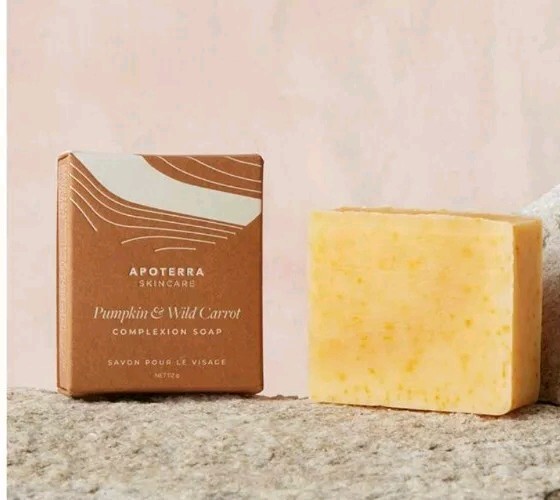 NEW Apoterra Complexion Soap Pumpkin Wild Carrot Skincare Bar Wash