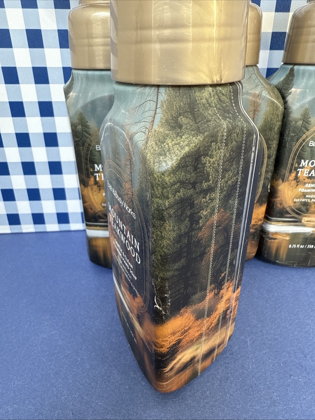 6X ~ Bath Body Works ~ MOUNTAIN TEAKWOOD ~ Gentle Foaming Hand Soap ~ READ!