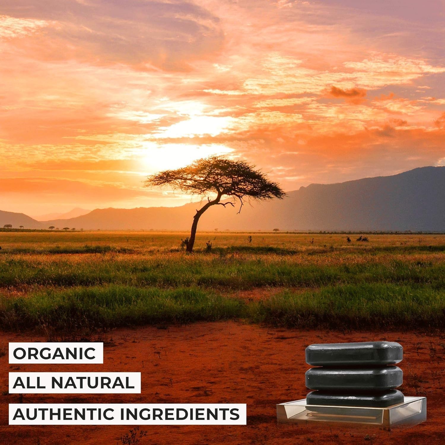 O NATURALS 3-Pack Organic Soap Bar 4oz each Set – 100% Vegan Cold Process Body W