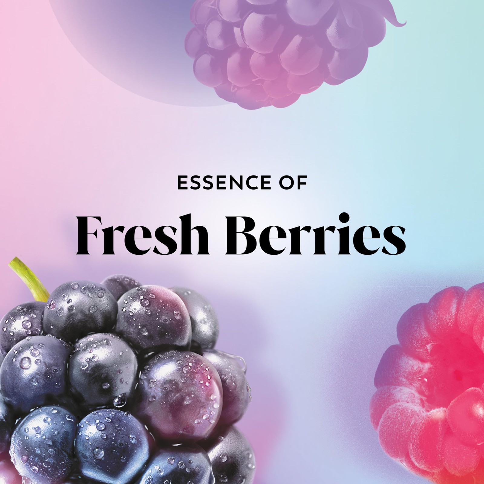 Olay Fresh Outlast Body Wash With Vitamin B3 Pack Of 4 Fresh Berry Scent 1 Oz