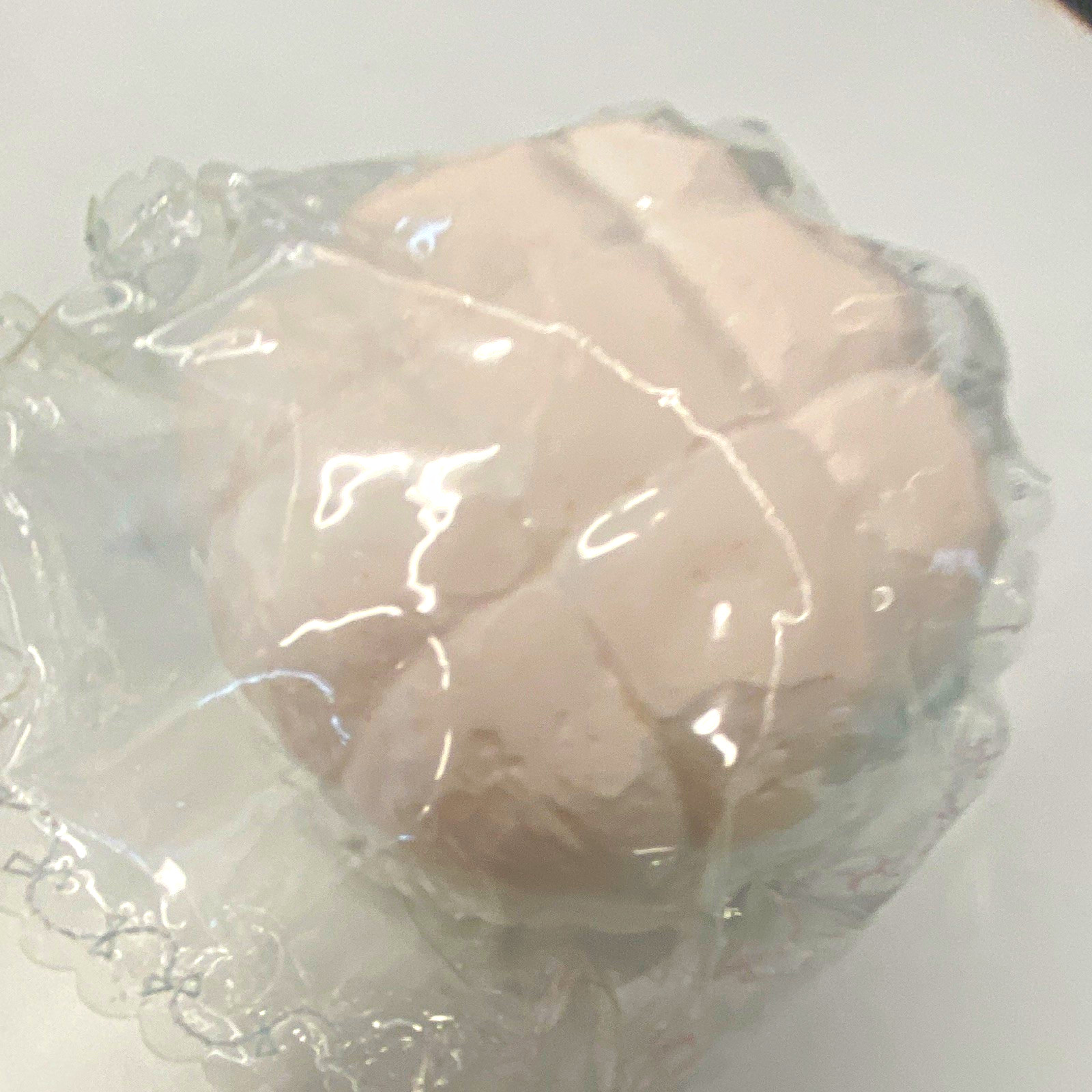 White Disc Body Soap Bar, Solid, Individually Wrapped, for Women Men Teens