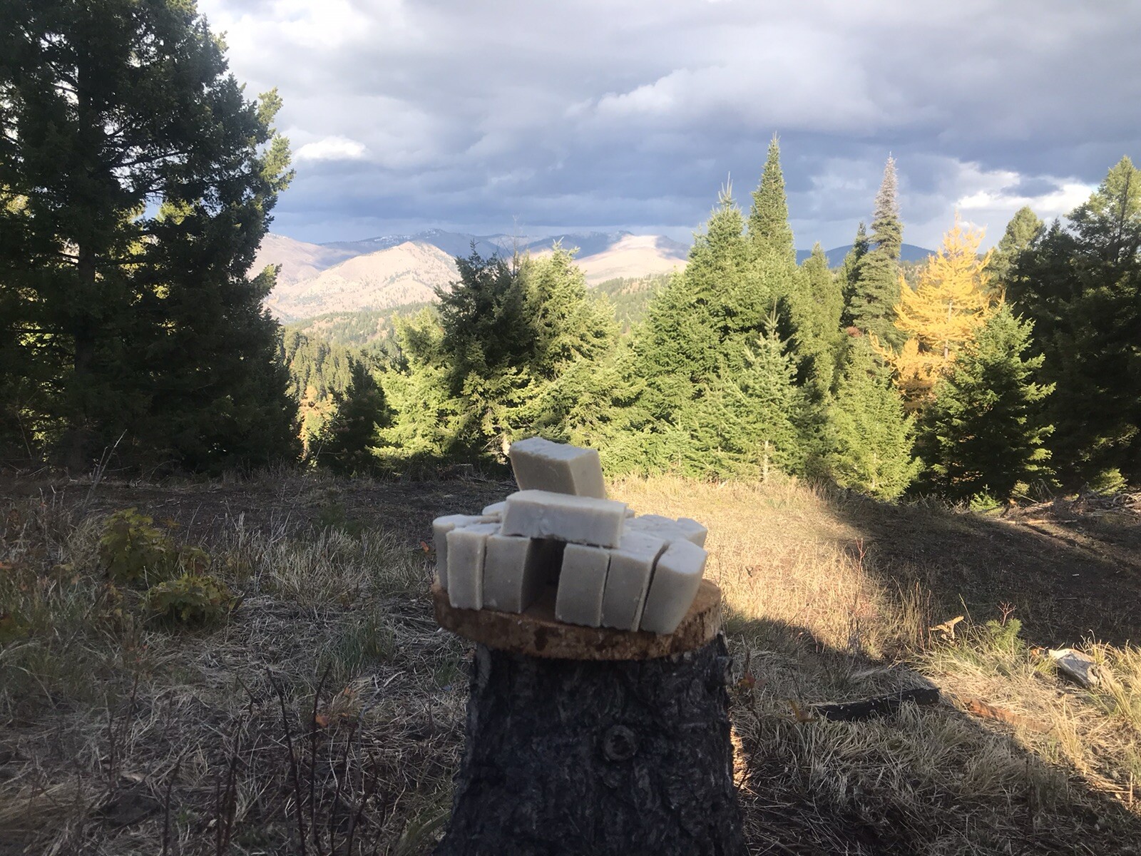 Goat Milk Soap With Essential Oil” 2 Lb Loaf “7Bars” MADE TO ORDER DM BF PURCH.