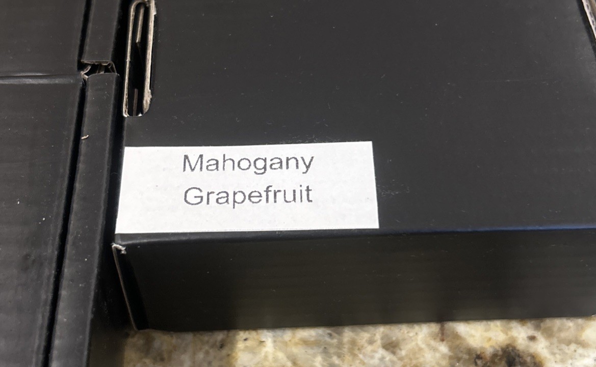 (5)- THOMPSON FERRIER MAHOGANY GRAPEFRUIT CLEANSING BODY BAR OLIVE OIL & LOOFAH