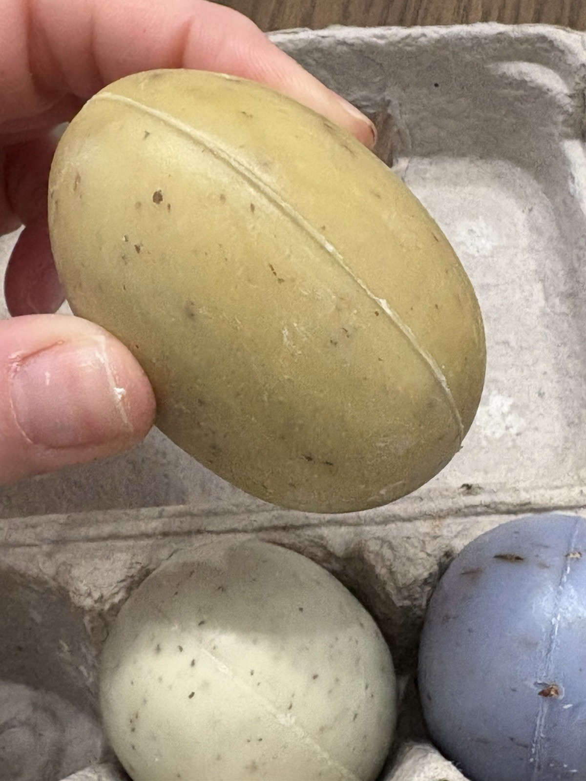 La Lavande Egg Carton with 6 Assorted French Egg Soaps
