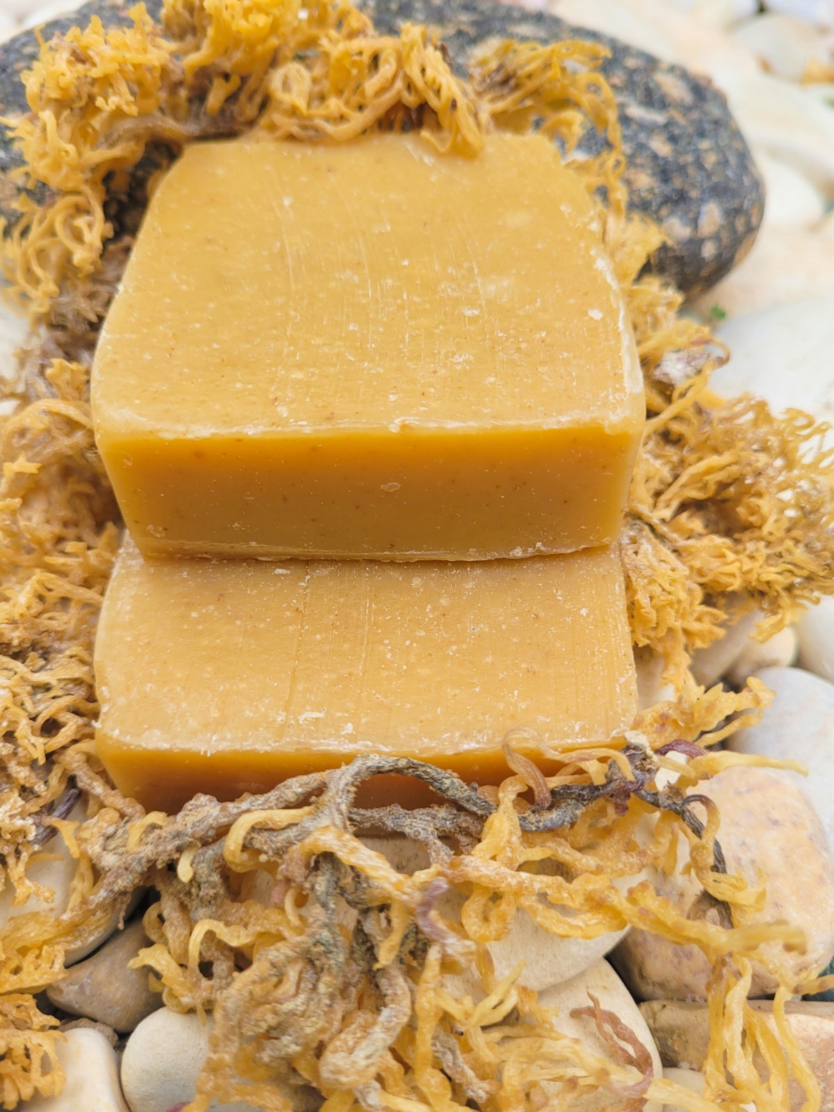 Gold Seamoss Soap