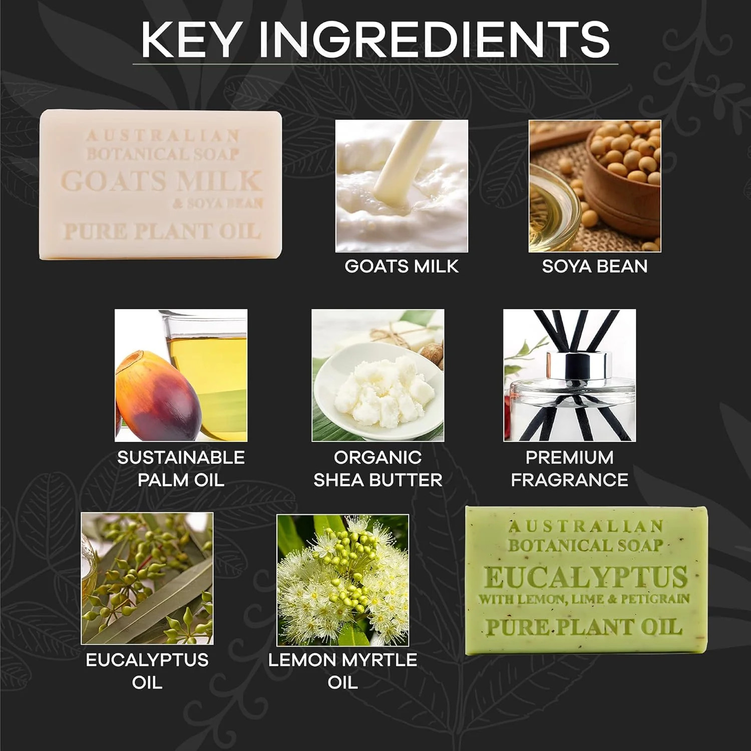Australian Botanical Men’s Soap Bars, Duo Pack Luxury Body and Beard Bars, Eucal