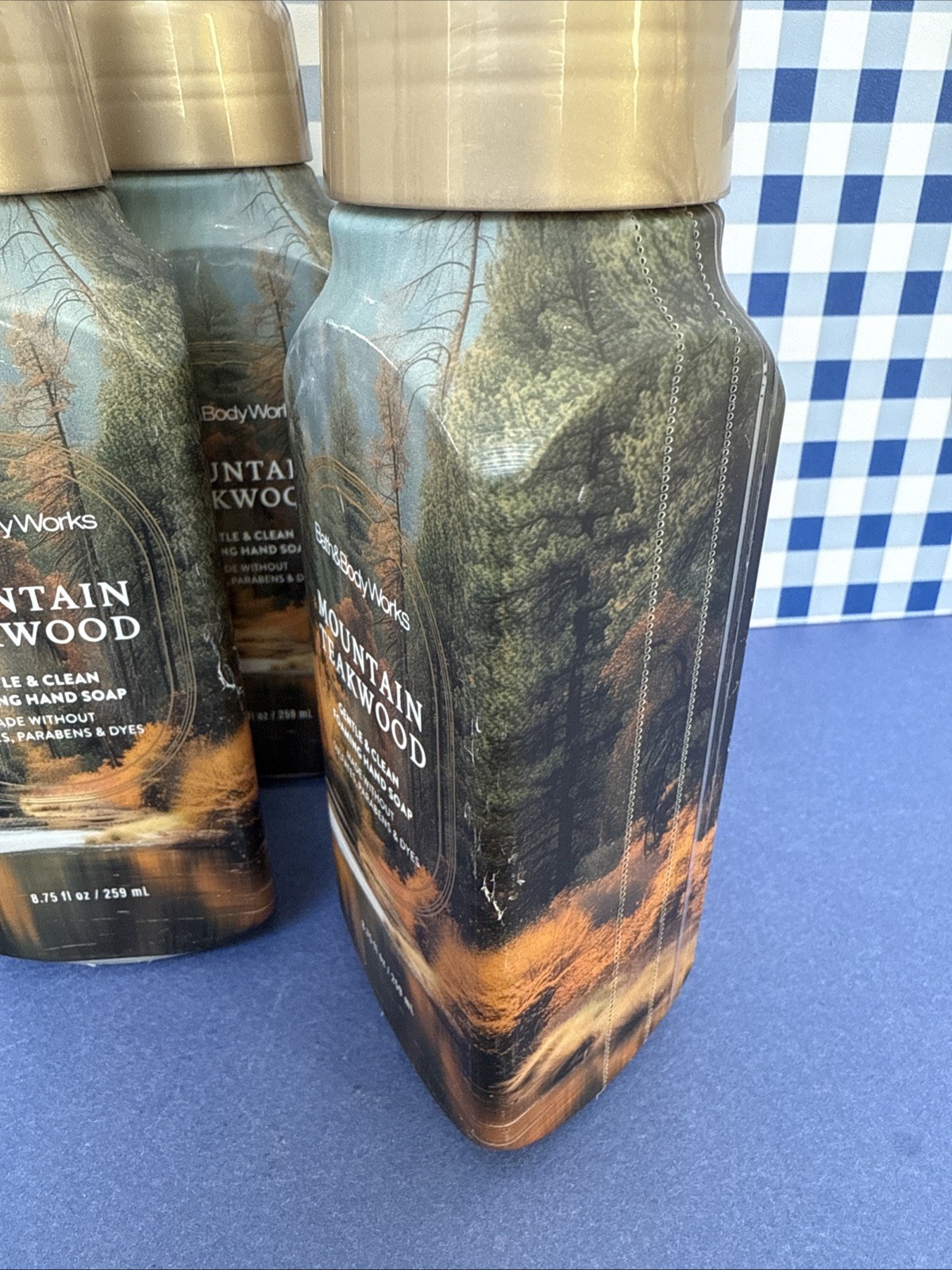 6X ~ Bath Body Works ~ MOUNTAIN TEAKWOOD ~ Gentle Foaming Hand Soap ~ READ!