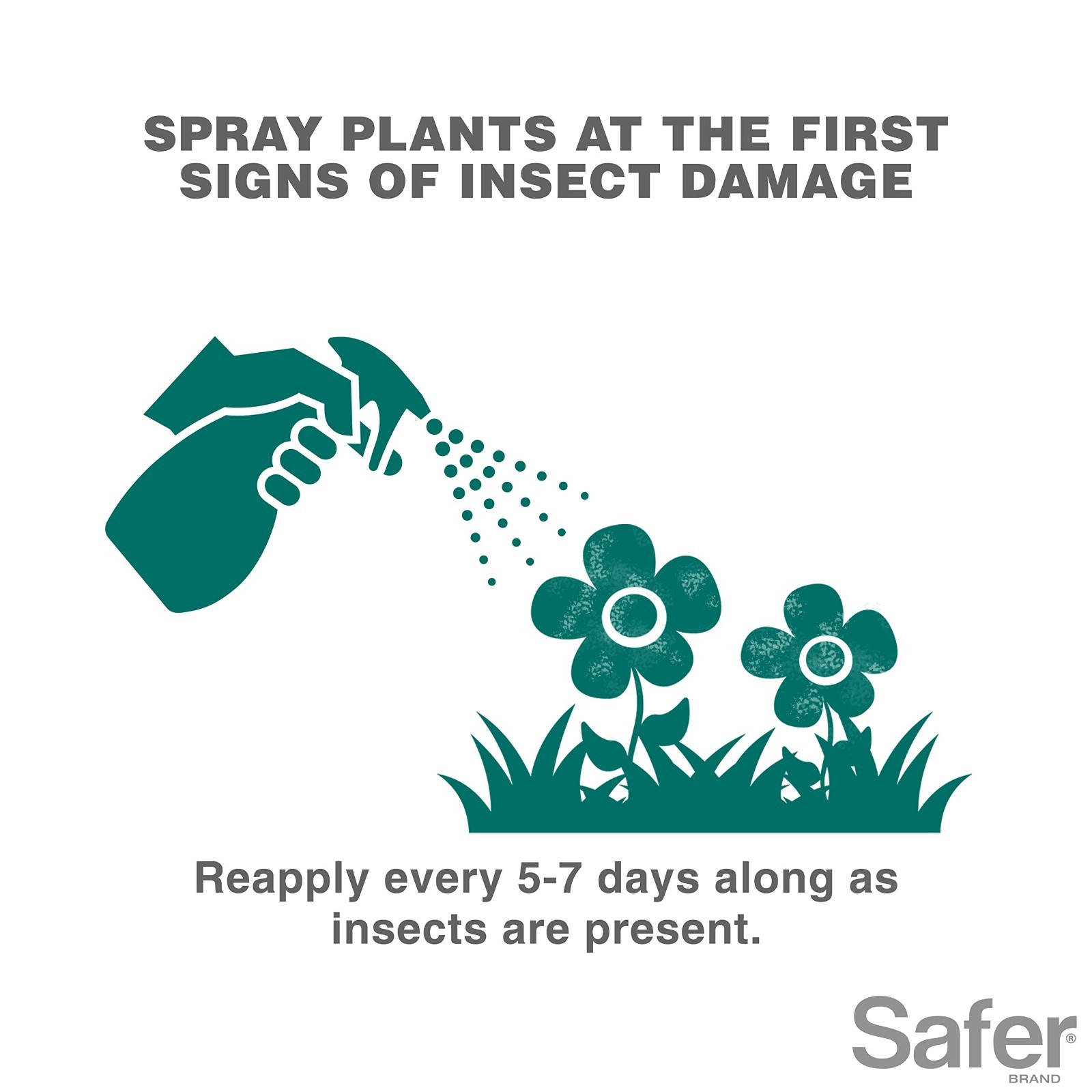 Insecticidal Soap Concentrate for Plants – Kills Aphids, Whiteflies, Mites – Org