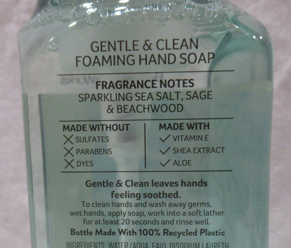 Bath & Body Works Gentle & Clean Foaming Hand Soap Set 2 SEA SALT & BEACHWOOD