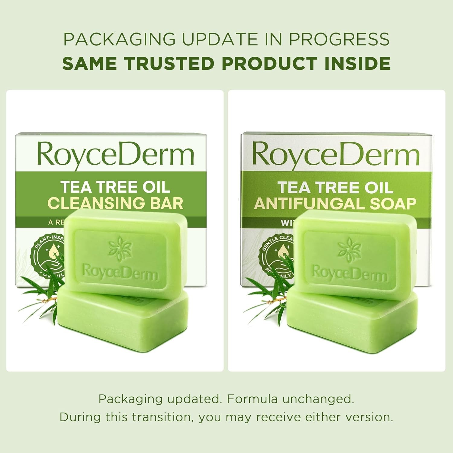 Roycederm Antifungal Bar Soap – Tea tree Oil Soap – Athlete’s Foot Treatment