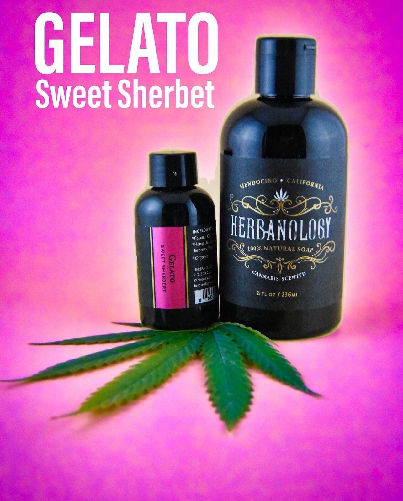 Herbanology 1 Gallon Gelato Organic Liquid Castile All Purpose Soap