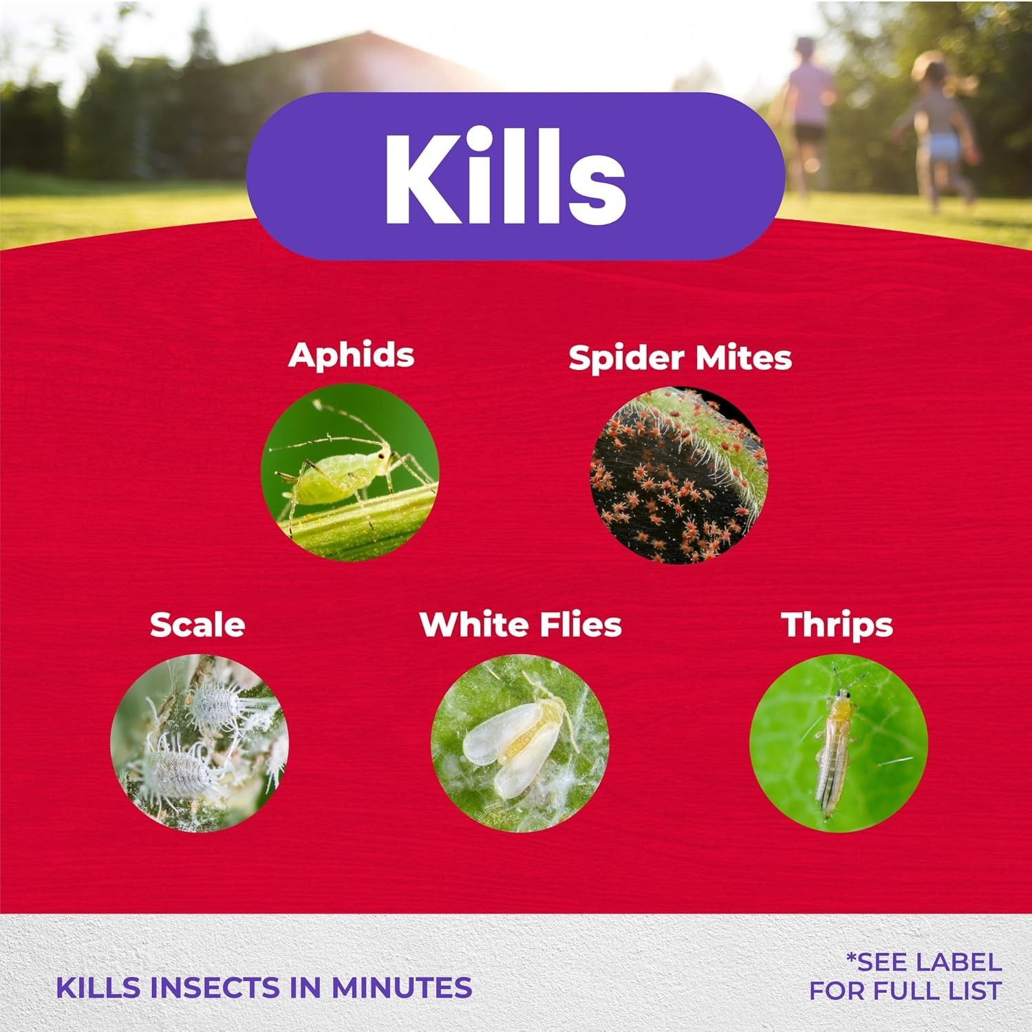 Captain Jack’s 32 oz Ready-to-Use Insecticidal Soap for Pest Control Efficiency