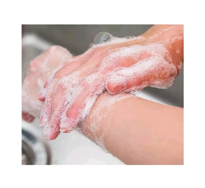 NEW! SAFEGUARD (8-BARS) 3.2 Oz. Bars ●FRESH CLEAN SCENT● W/Aloe Extract Soap🫧.