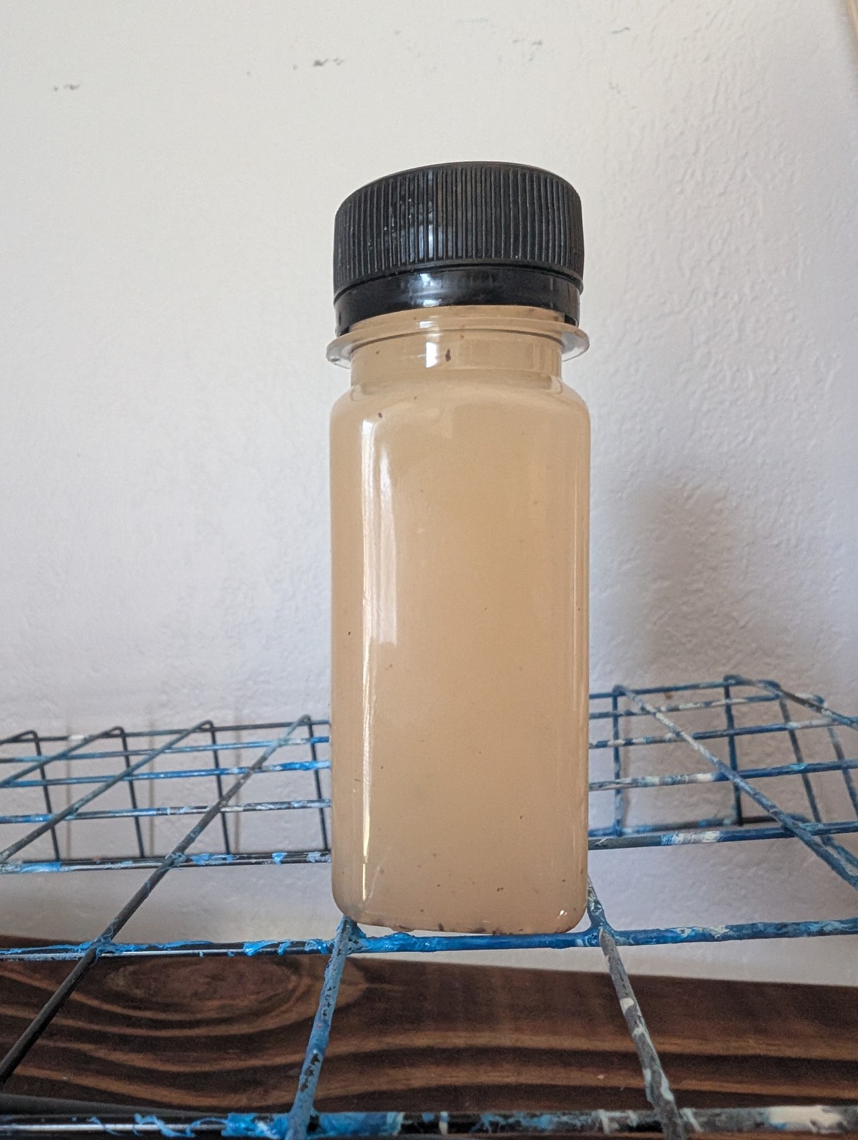 Immunity Shot – Fresh Ginger & Lemon Wellness Boost
