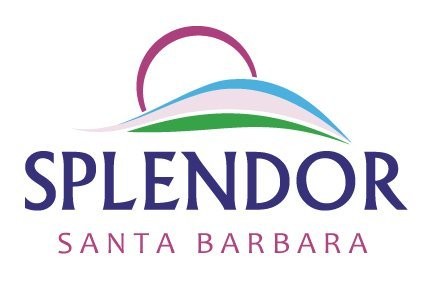 Splendor Black Activated Soap Bars – Unscented Natural Cold-Process Soap – Od…