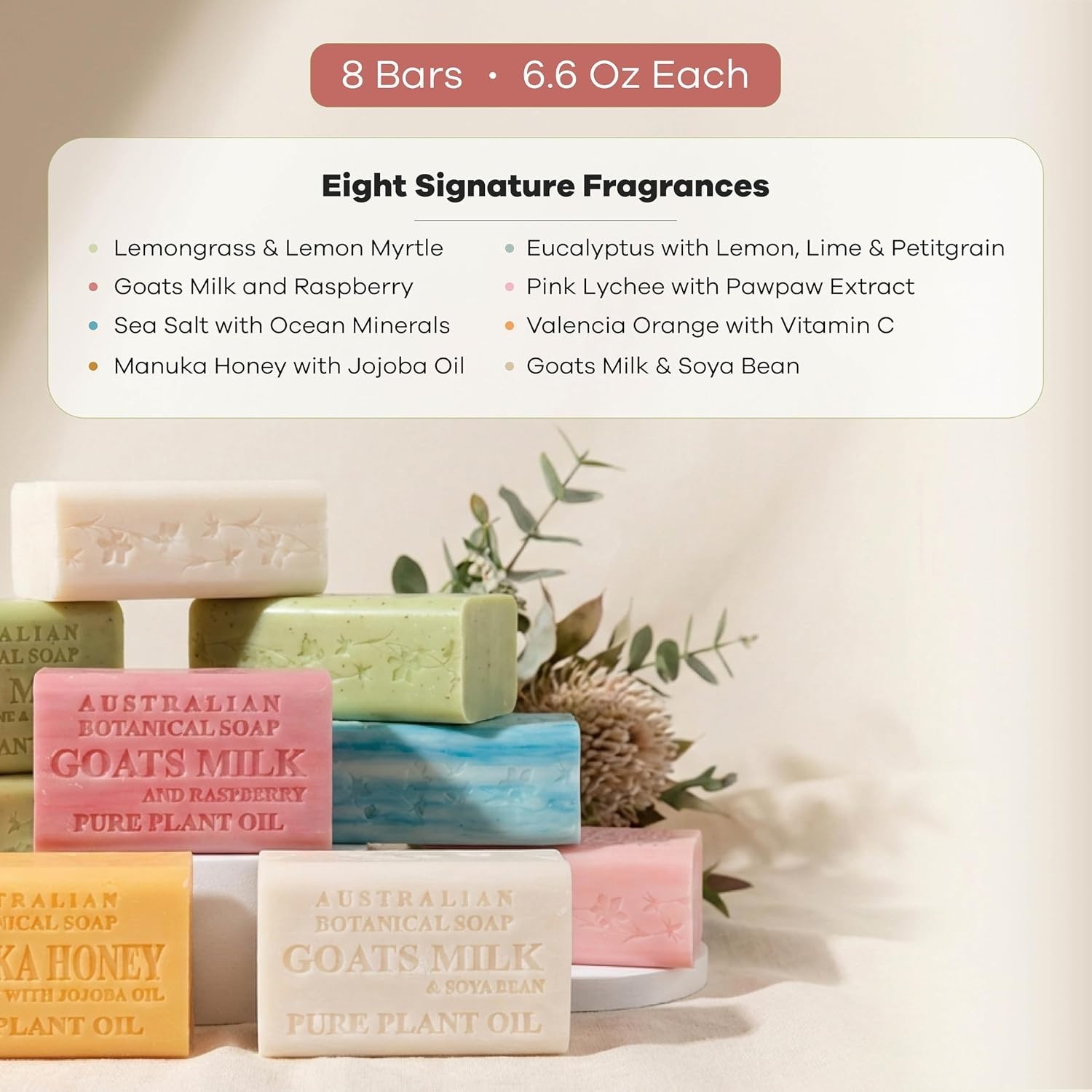 Organic Shea Butter Soap Variety Pack – 8 Large Bars of Fresh Botanical Scents