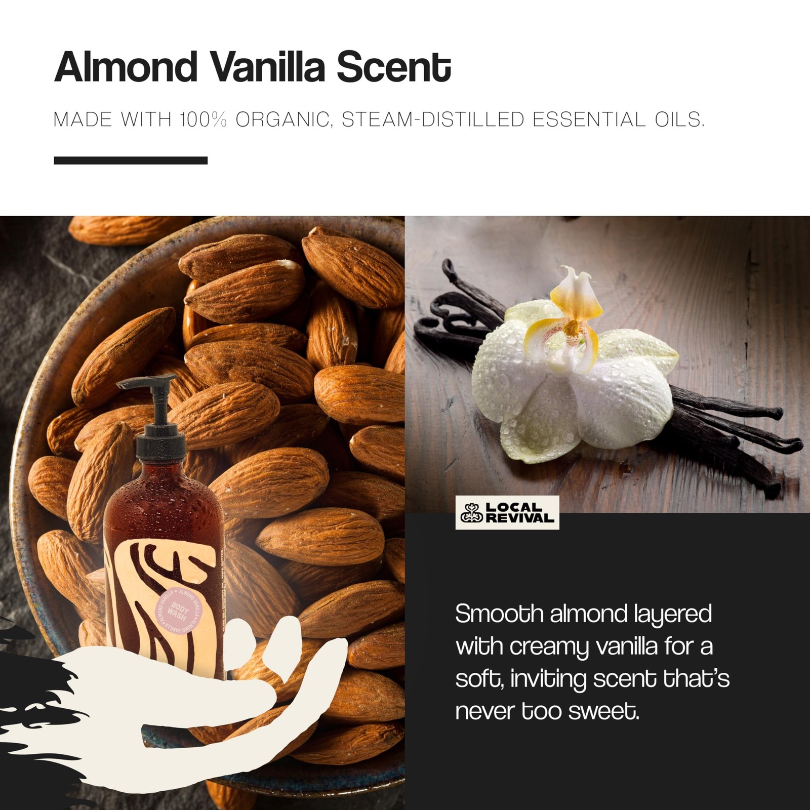 Tallow and Honey Body Wash – Almond Vanilla – Beef Tallow with Honey, Olive O…