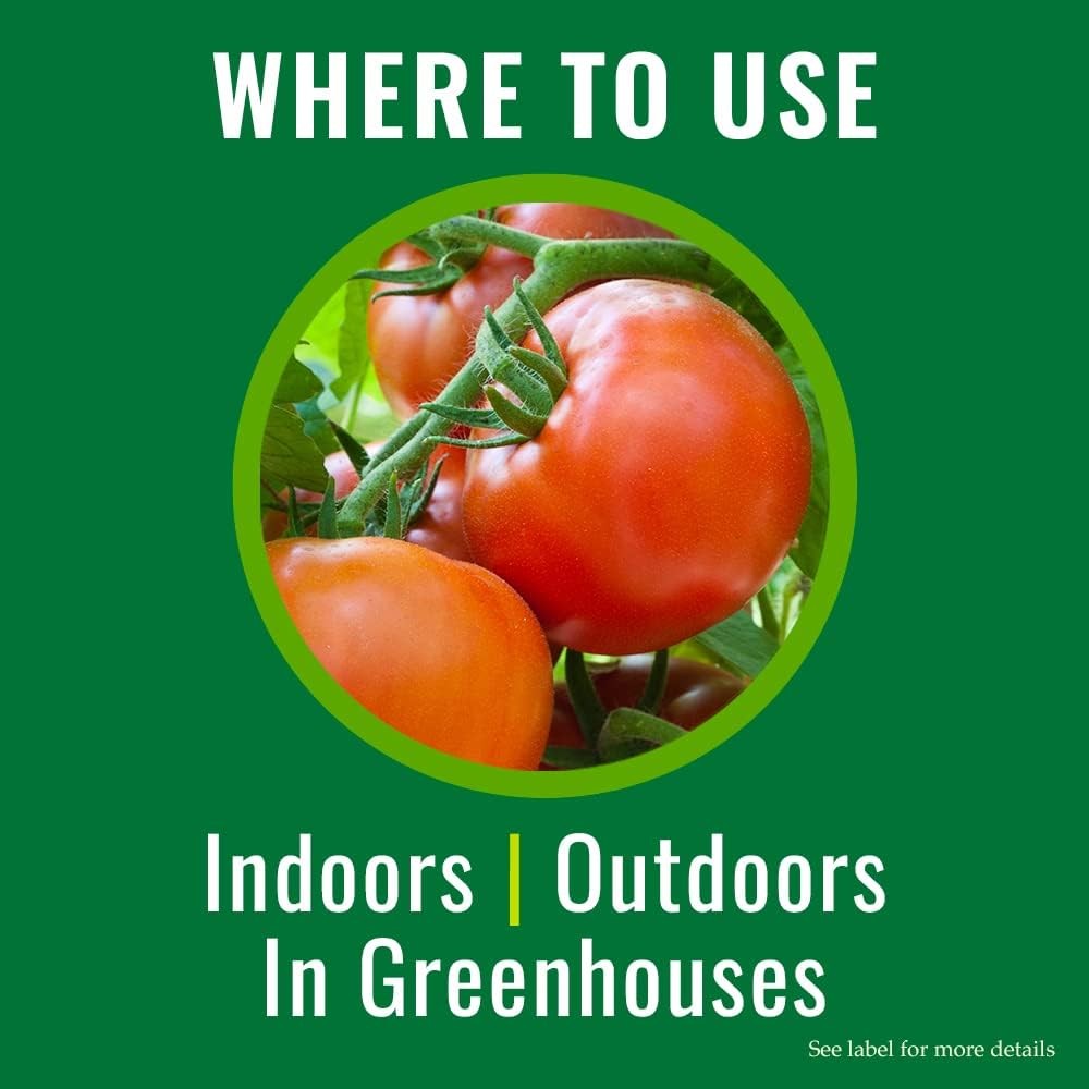 Insecticidal Soap, Ready-To-Use Garden Bug Treatment, Insect Killer for Indoor