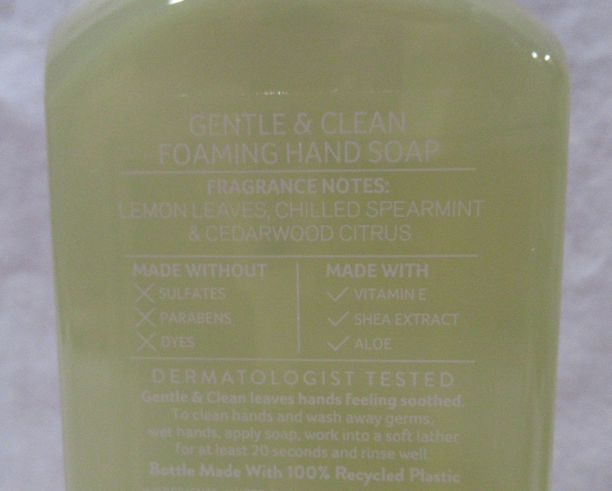 Bath & Body Works Gentle & Clean Foaming Hand Soap Set Lot 2 FRESH AMALFI LEMON