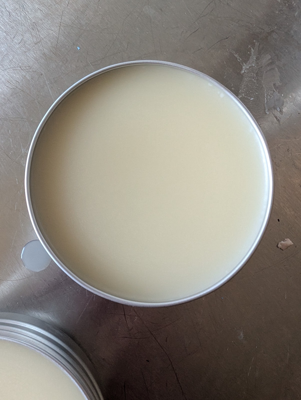 Natural Mosquito Repellent Balm | Handmade Herbal Bug Repellent Salve