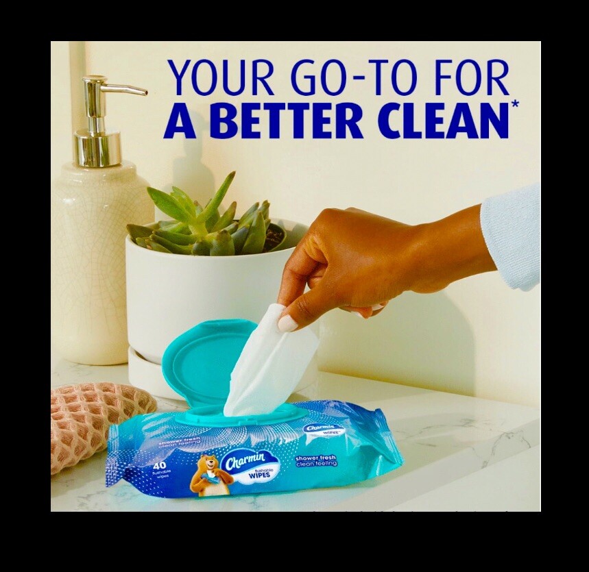 Charmin Flushable Wipes with flip top lids 80 count (2 x 40 Wipes) printed packs
