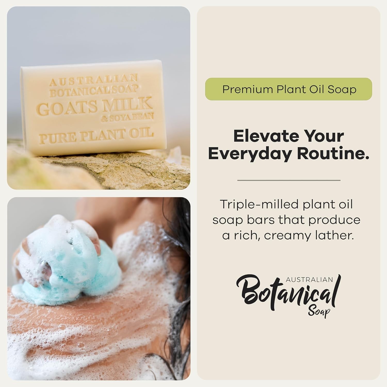 Organic Shea Butter Soap Variety Pack – 8 Large Bars of Fresh Botanical Scents