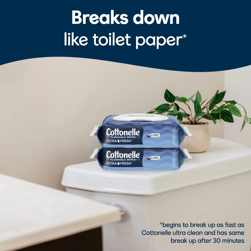 Ultra Fresh Flushable Wet Wipes, 4 Flip-Top Packs