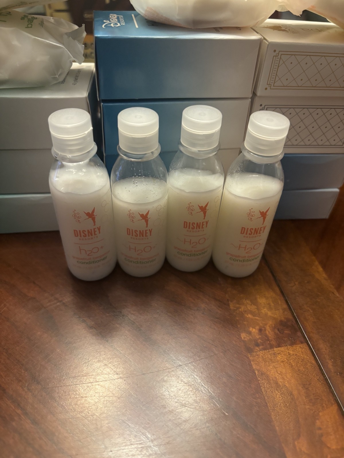 Disney Resorts Bath Soap Bar, lotion & Shampoo / Conditioner h2o sea salt spa