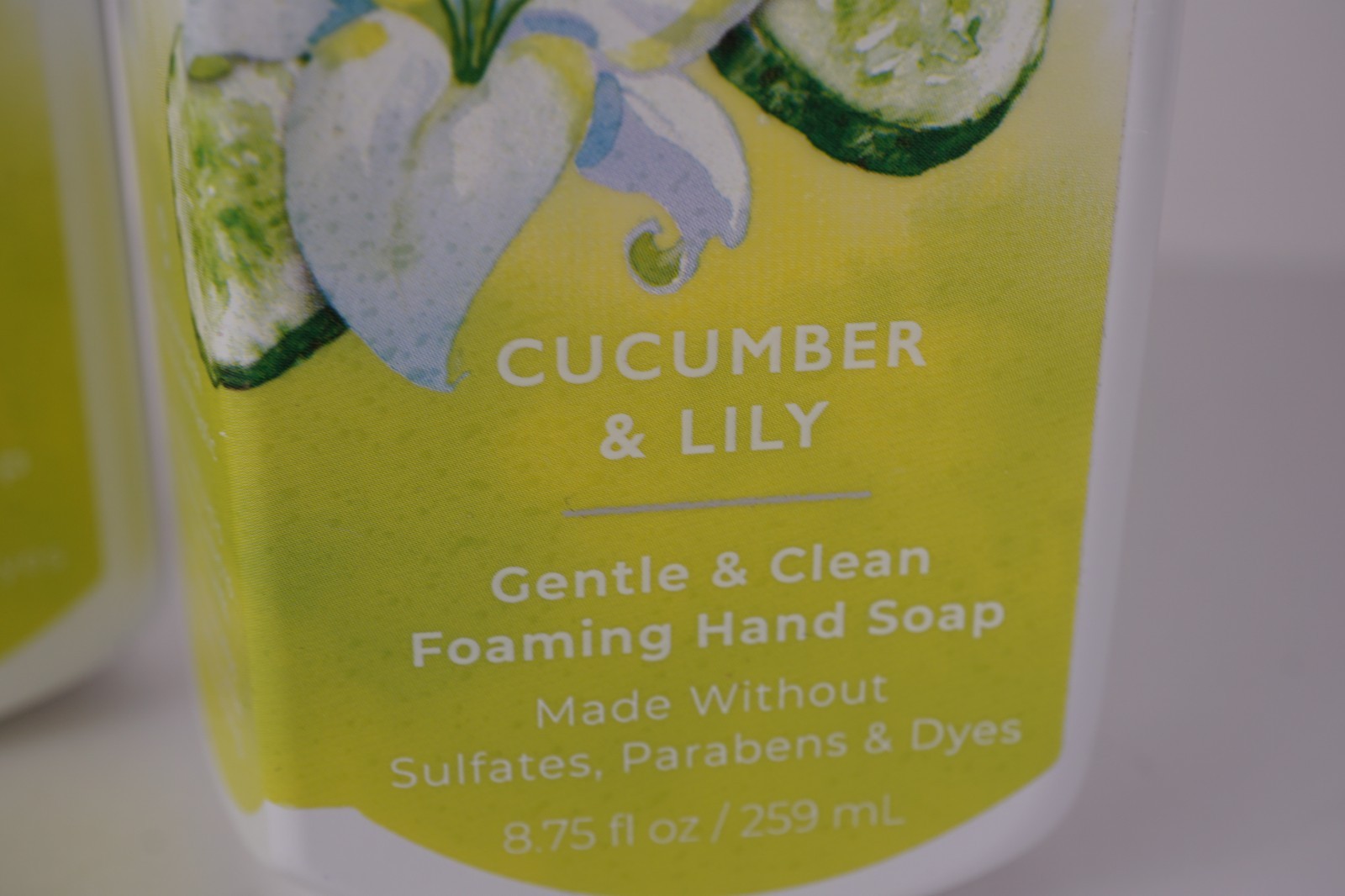 X2 BATH & BODY WORKS CUCUMBER & LILY GENTLE & CLEAN FOAMIONG HAND SOAP