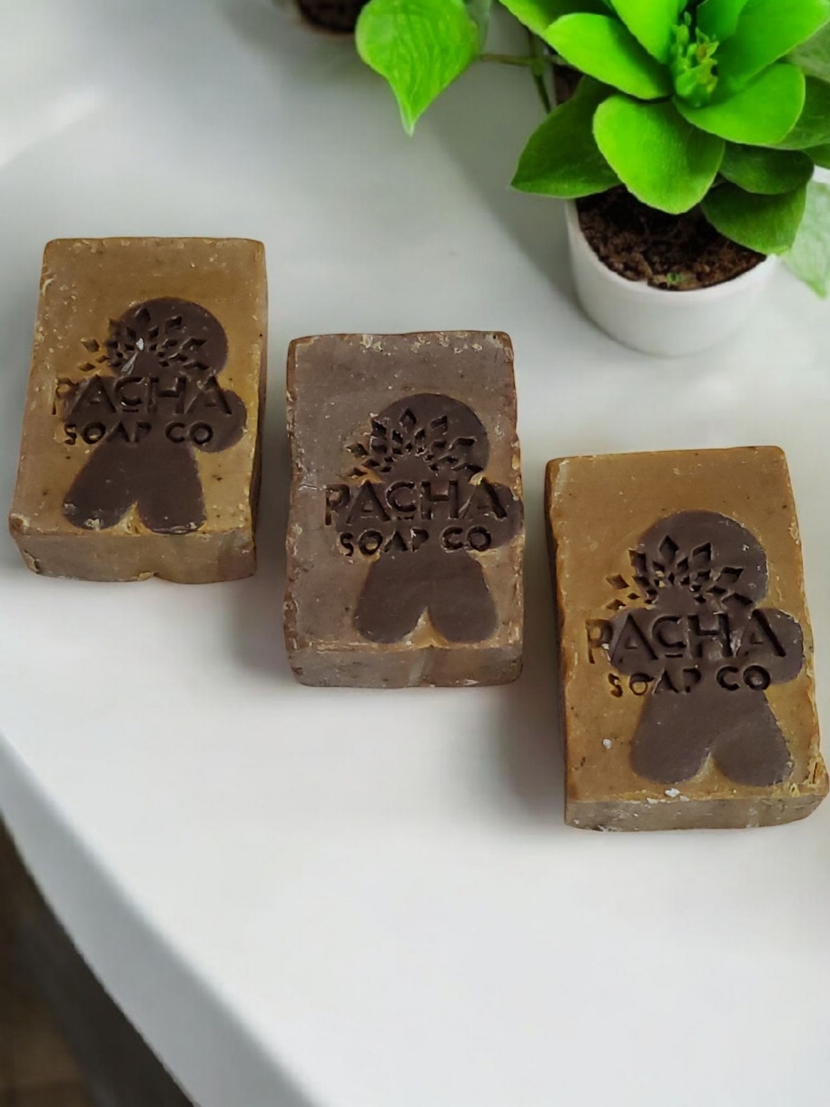 (3) Pacha Bar Soap Limited Edition Sugar & Spice w/ Comforting Vanilla Bean NEW