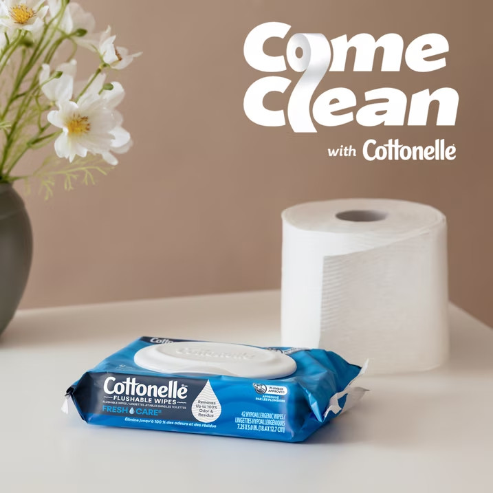 Cottonelle Fresh Care Flushable Wet Wipes, 10 Flip-Top Packs FREE SHIPPING
