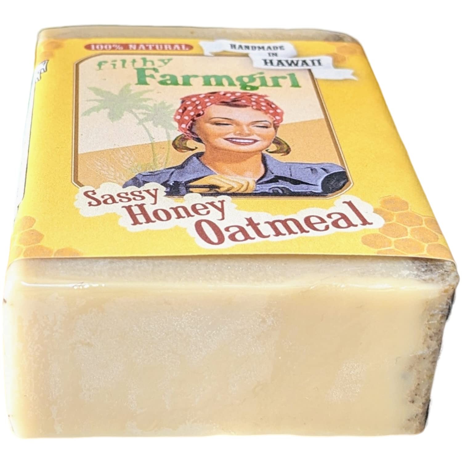 Sassy Honey Oatmeal all natural glycerin BAR SOAP Cinnamon Oats Vanilla