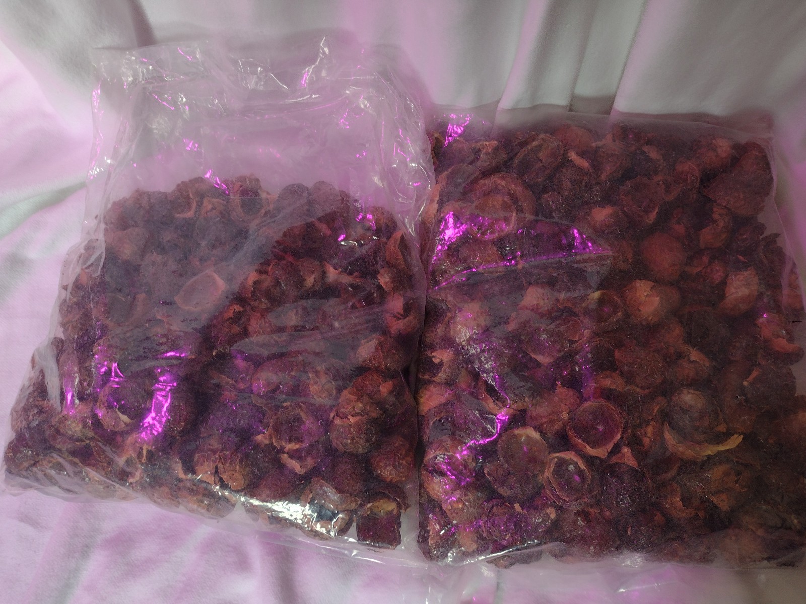 Natur Oli Nuts Soap Berries USDA Organic 1 lb 14 oz Free Shipping Bag Included