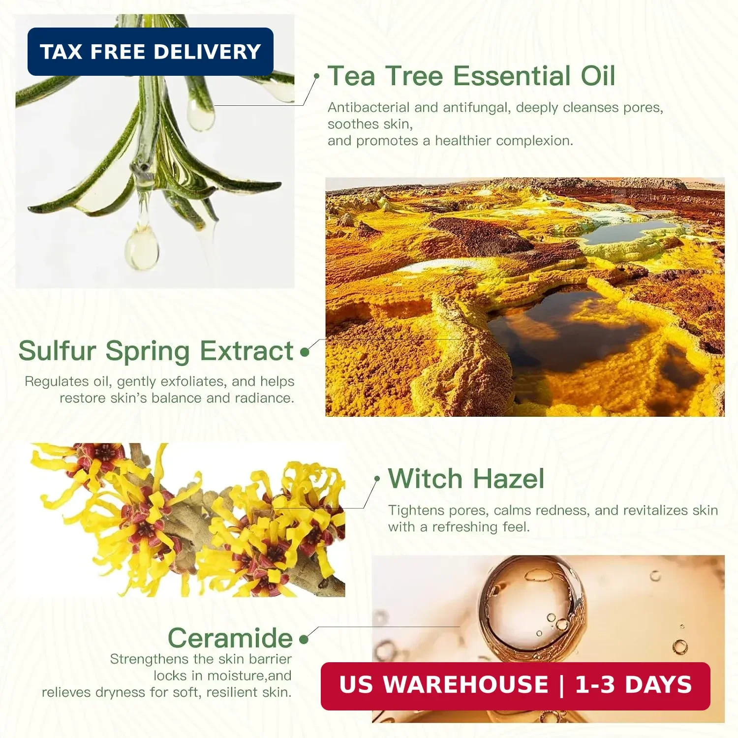 Tea Tree Soap For Oil & Itchy Skin, Pack of 3 | Soap Bar for Face & Body, Antifu