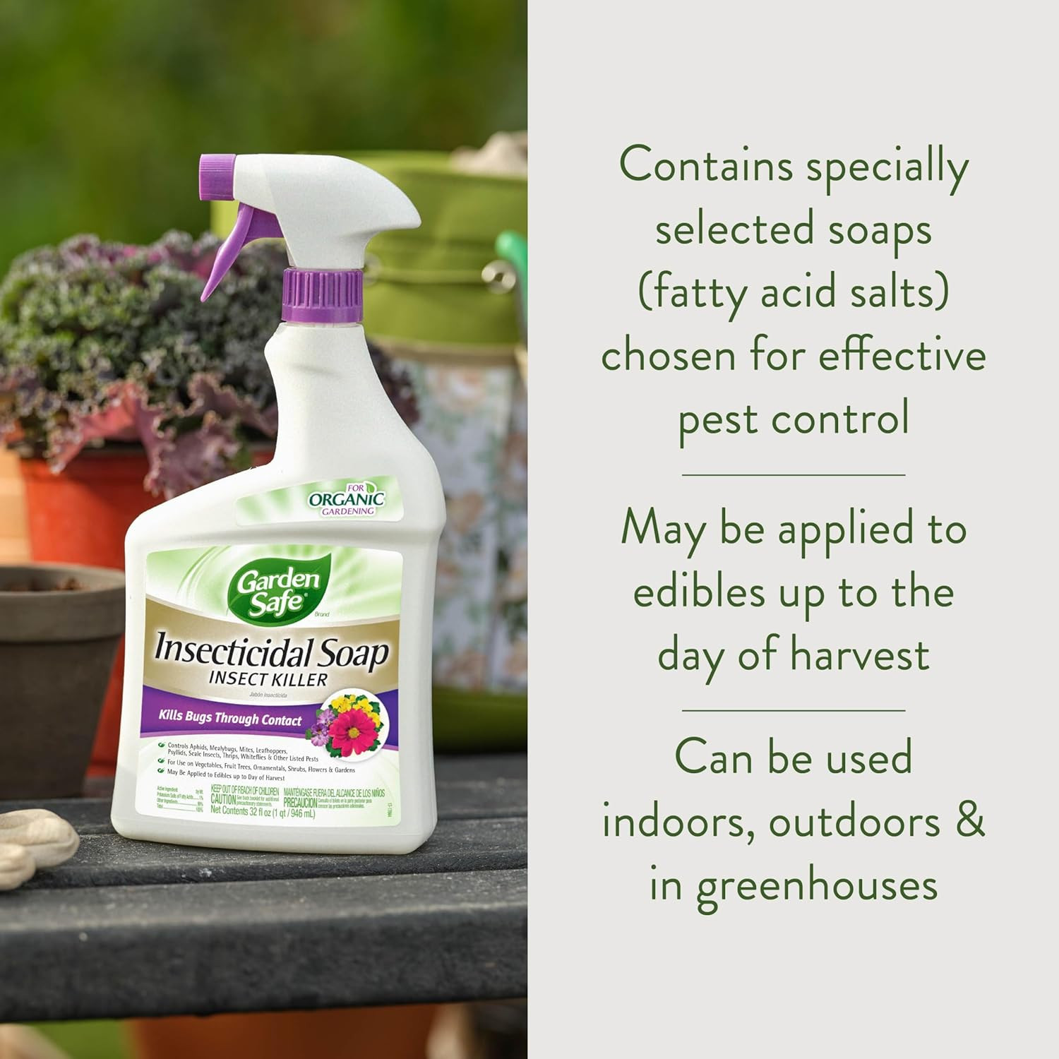 Ready-to-Use Organic Insecticidal Soap – Effective Pest Control Spray 32oz