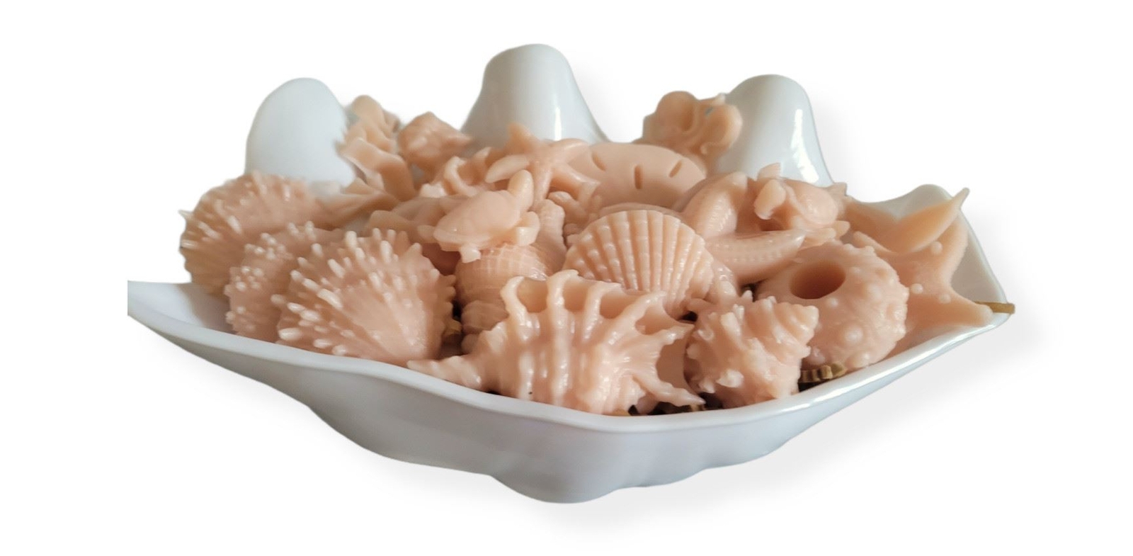 Sea Shell Soap Gift Set