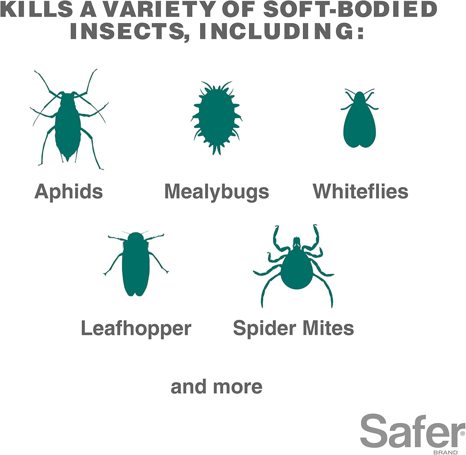 Insect Killing Soap Spray, Effective against Whiteflies, Thrips and Mealybugs
