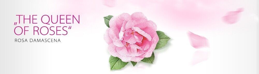 Rose of Bulgaria Gift Set 3 Rose Water Glycerine Soaps 100% Natural Hand-Made