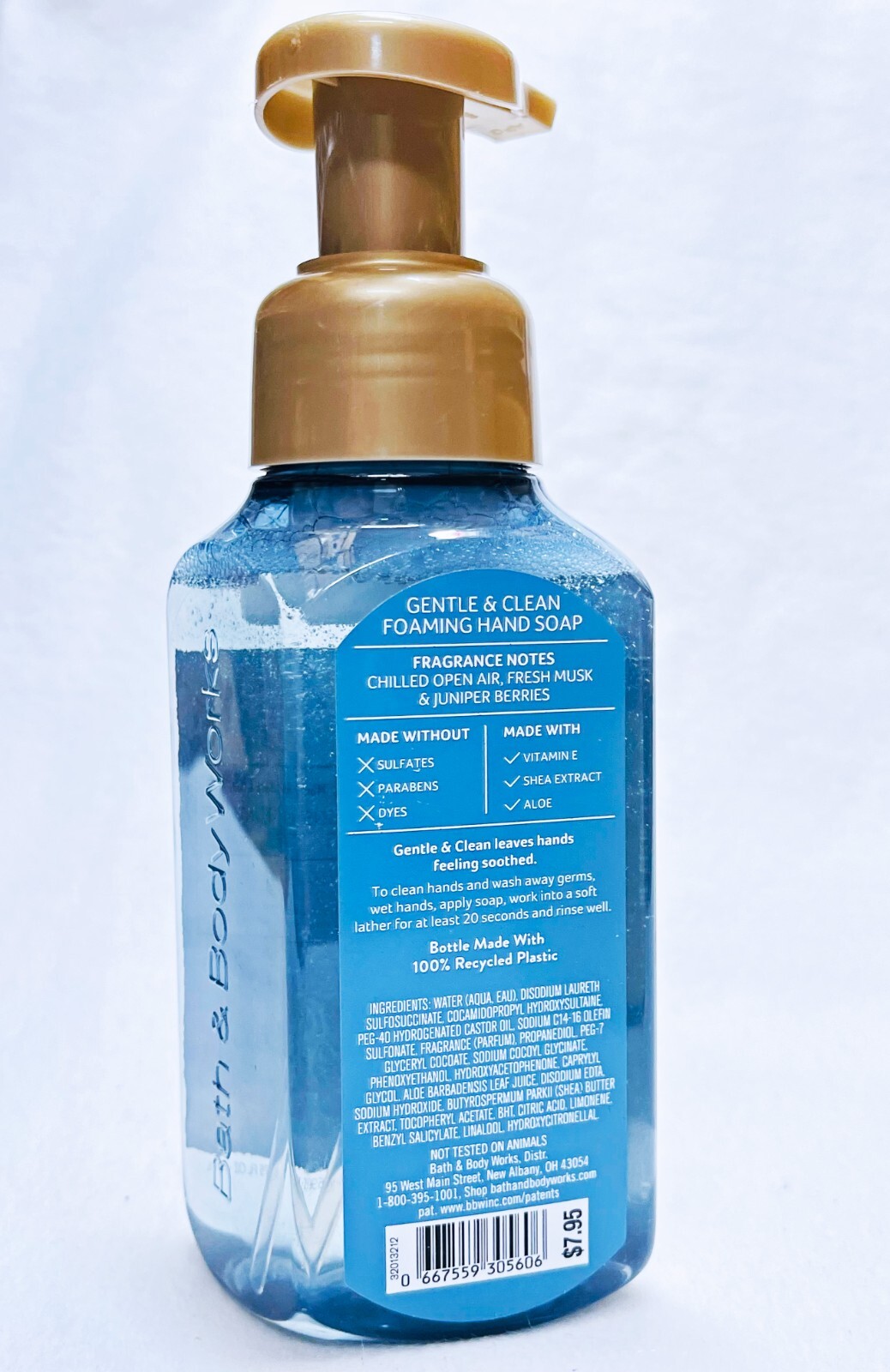 4 Bath & Body Works MOUNTAINSIDE MIST Gentle Foaming Hand Soap 8.75 oz