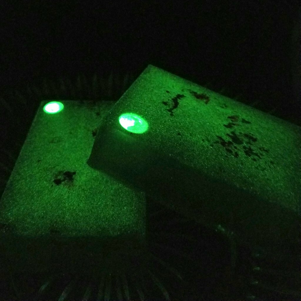 LOVECRAFT Glow in the Dark Soap, Pomegranate Scent Large Bar USA Made Halloween
