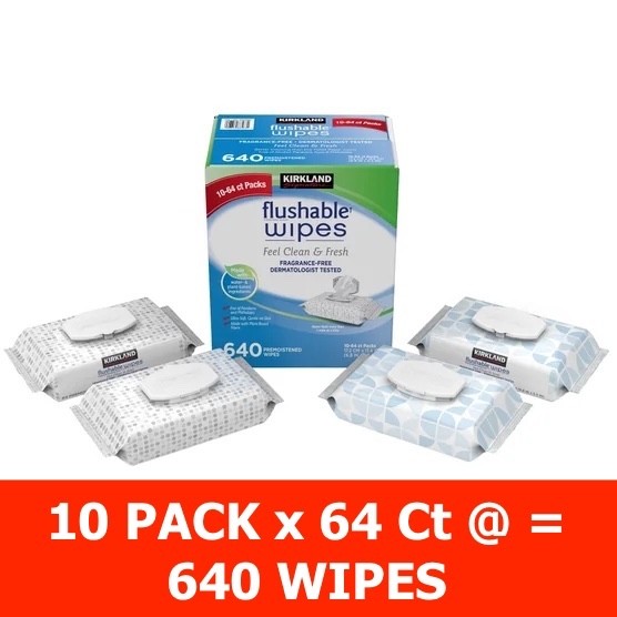 Kirkland Moist Flushable Wipes Unscented, 10 PKS x 64=640 Wipes, Clean Soft Wipe