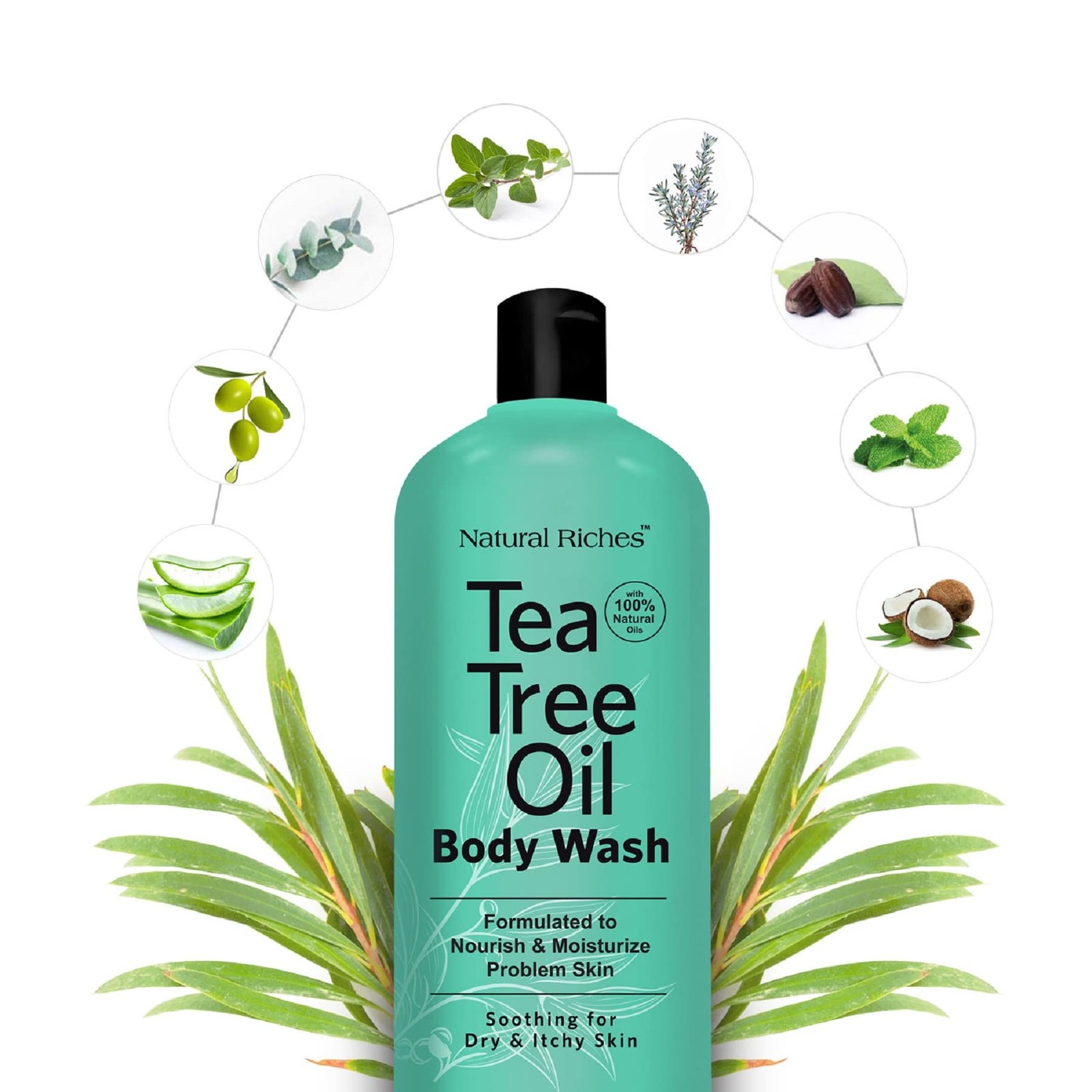 Natural Riches Tea Tree Oil Body Wash, 2×16 fl oz 16 Fl Oz (Pack of 2), Clear