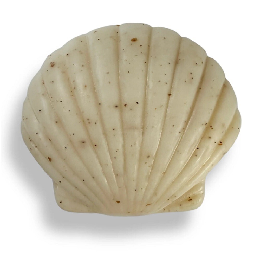 Greenwich Bay 4.3oz Sculpted Seashell Soap, Beach Linen (R5T001)
